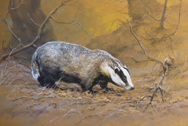 Borz · Valaczkai Erzsébet · ©OMVK