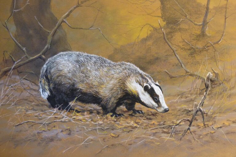 Borz · Valaczkai Erzsébet · ©OMVK