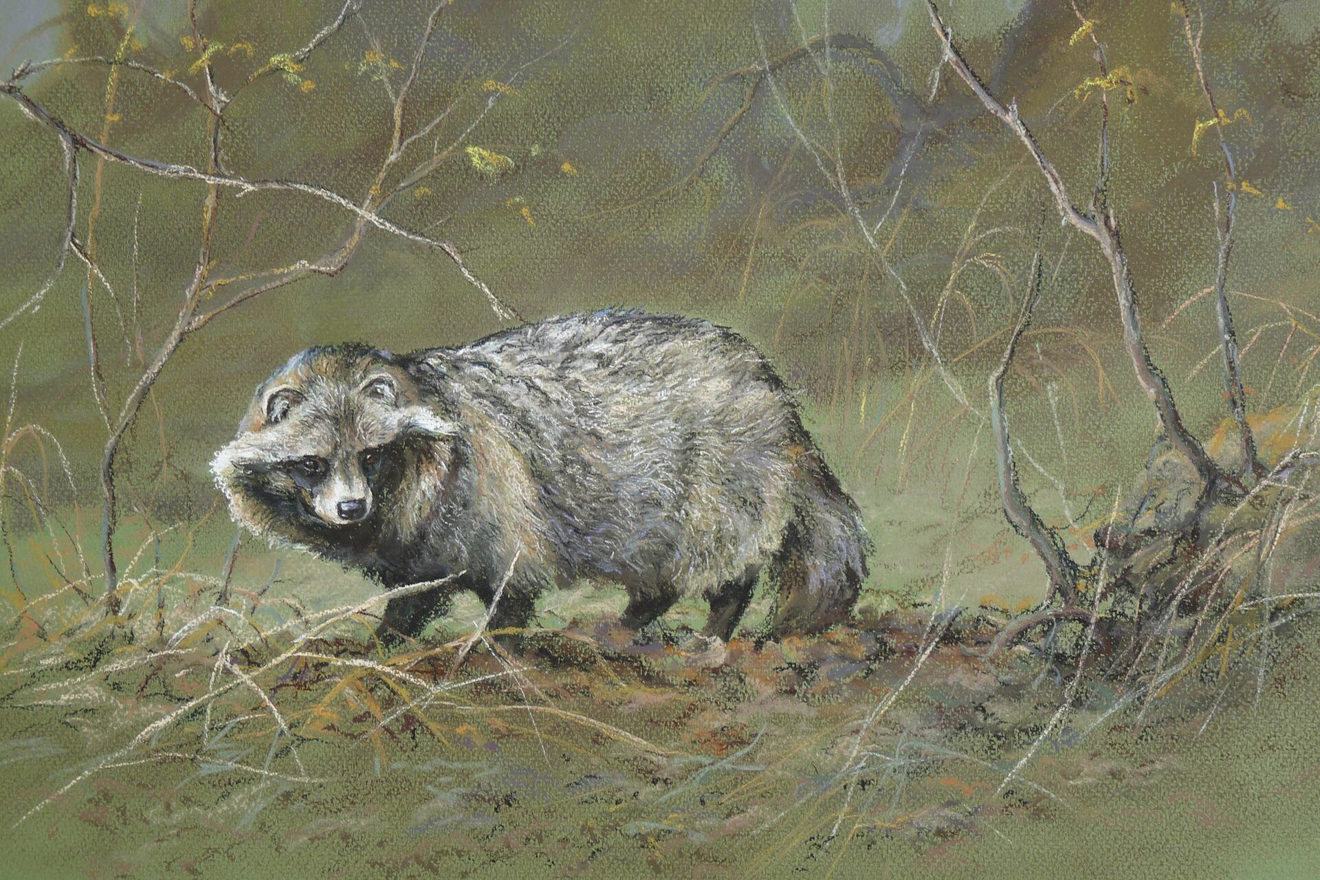 Nyestkutya · Valaczkai Erzsébet · ©OMVK