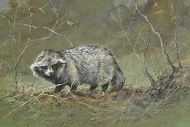 Nyestkutya · Valaczkai Erzsébet · ©OMVK